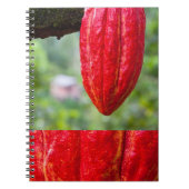 Carnet cabosse rouge (Devant)