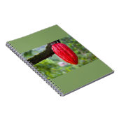 Carnet cabosse rouge (Côté Droit)