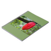Carnet cabosse rouge (Côté gauche)