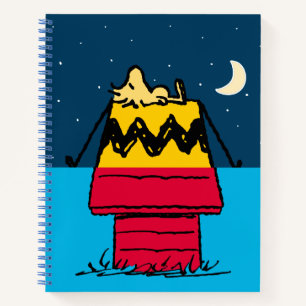 Carnet cacahuètes   Woodstock Camping Demi et Demi