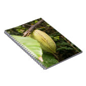 Carnet cacao pod (Côté Droit)