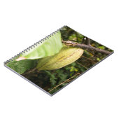 Carnet cacao pod (Côté gauche)