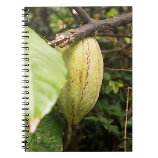 Carnet cacao pod (Devant)