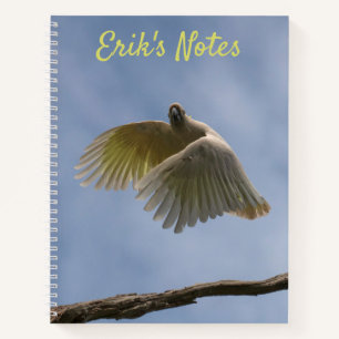 Carnet Cacatoès Australie Oiseau Perroquet Voler Ciel Pho