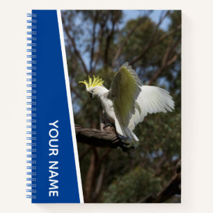 Carnet Cacatoès Australie Perroquet Oiseau Ailes, Bleu
