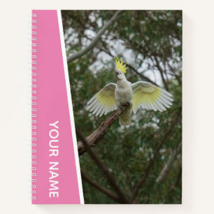 Carnet Cacatoès Australie Perroquet Oiseau Ailes, Rose