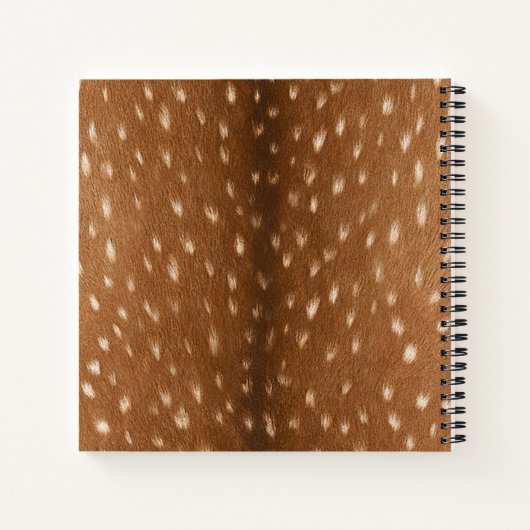 Carnet Cachage de cerf // (Dos)