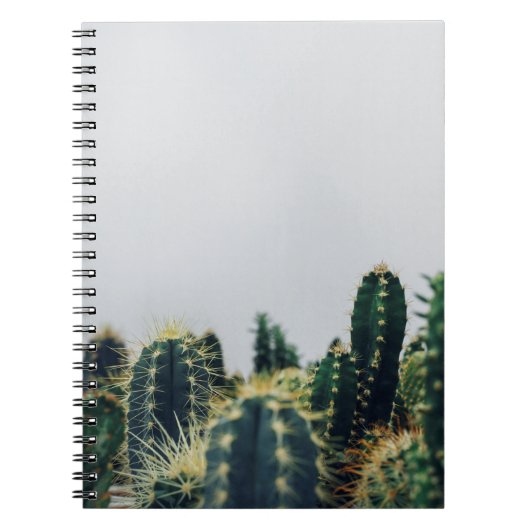 CARNET CACTI VERT (Devant)