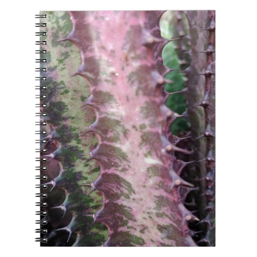 Carnet Cactus (Devant)