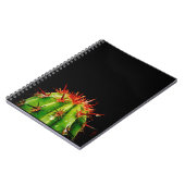 Carnet Cactus (Côté gauche)