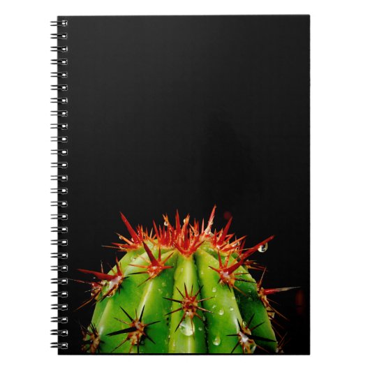 Carnet Cactus (Devant)