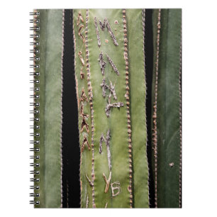Carnet Cactus