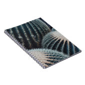 Carnet Cactus (Côté Droit)