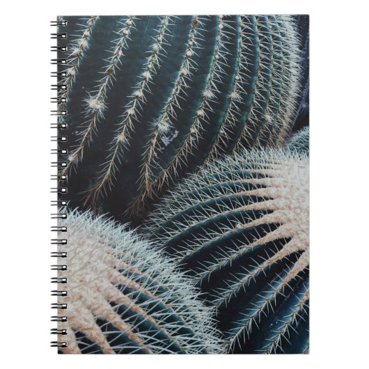 Carnet Cactus (Devant)