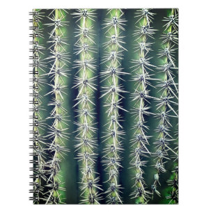 Carnet Cactus