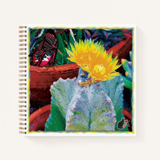 Carnet Cactus Caliente (Devant)