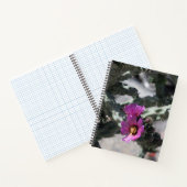 Carnet Cactus Challa en fleurs (Intérieur)