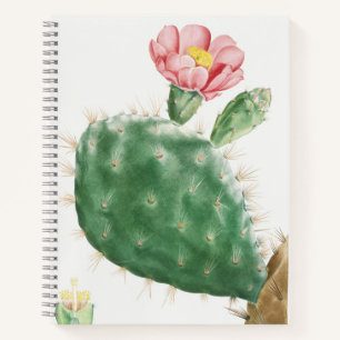 Carnet Cactus Cochenillifer, Illustration Antique, 1799 