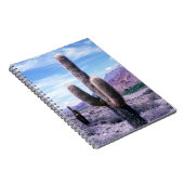 Carnet Cactus dans la province de Jujuy - Nord de l'Argen (Côté Droit)