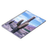 Carnet Cactus dans la province de Jujuy - Nord de l'Argen (Côté gauche)
