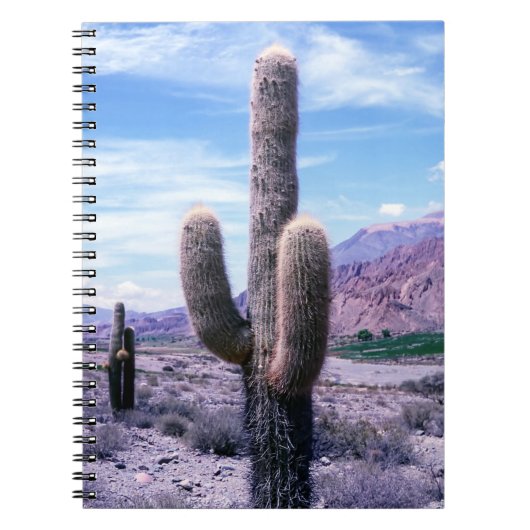 Carnet Cactus dans la province de Jujuy - Nord de l'Argen (Devant)