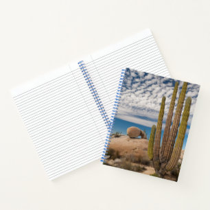 Carnet Cactus dans un paysage désertique