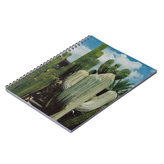 Carnet Cactus de l'Arizona (Côté gauche)