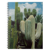 Carnet Cactus de l'Arizona (Devant)