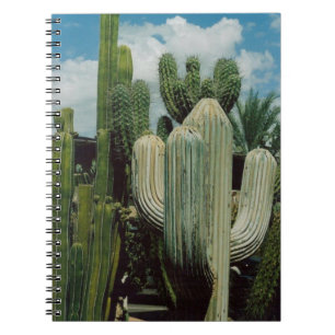 Carnet Cactus de l'Arizona
