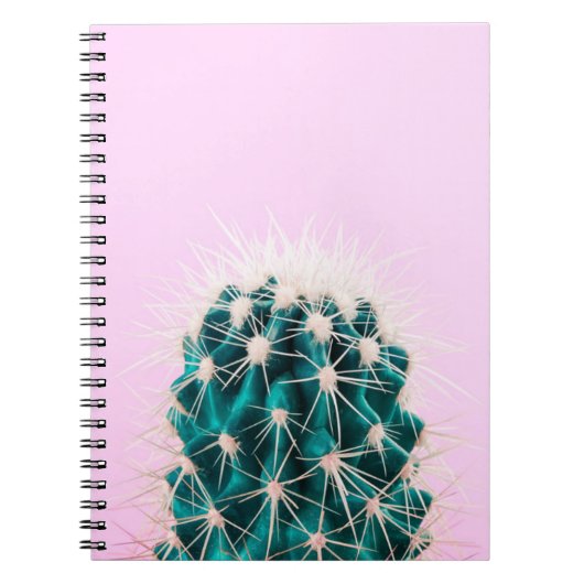 Carnet Cactus de Prickley sur le rose (Devant)