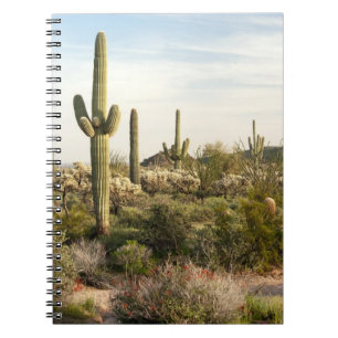 Carnet Cactus de Saguaro, Arizona, Etats-Unis