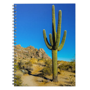 Carnet Cactus debout