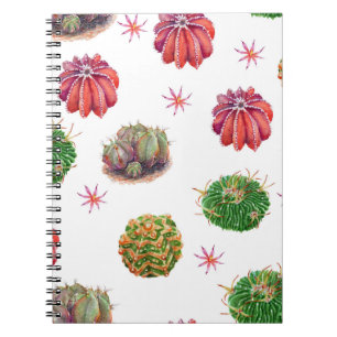Carnet Cactus Floral : Arrière - plan aquarelle