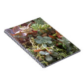 Carnet Cactus multicolores (Côté Droit)
