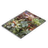 Carnet Cactus multicolores (Côté gauche)