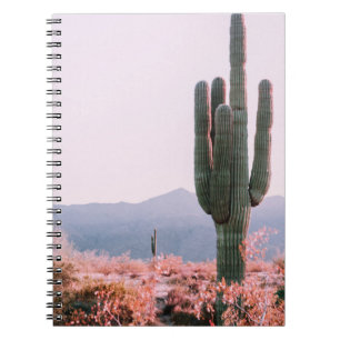 CARNET CACTUS PLANTE À CÔTÉ D'ORANGE PLANTE LEAFED