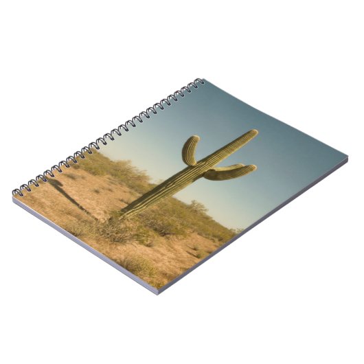 Carnet Cactus solitaire (Côté gauche)