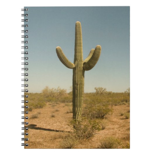 Carnet Cactus solitaire (Devant)