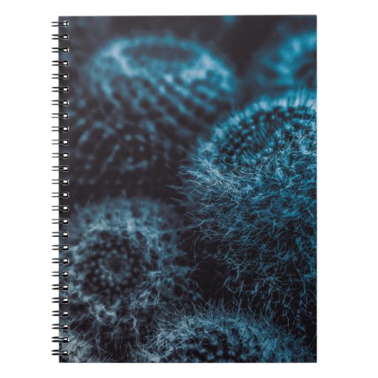 Carnet Cactus sombre (Devant)