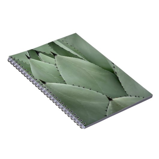 Carnet Cactus vert (Côté Droit)