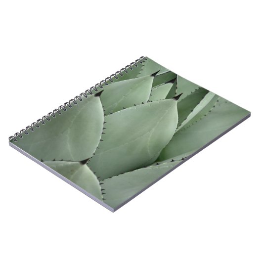 Carnet Cactus vert (Côté gauche)