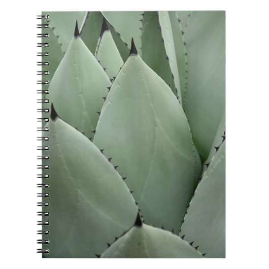 Carnet Cactus vert (Devant)