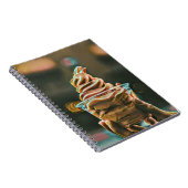 Carnet Cadeau d'anniversaire de glace (Côté Droit)