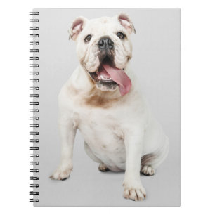 Carnet Cadeau maman chiot mignon Chien bouledogue anglais