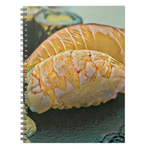 Carnet Cadeau sushi amoureux