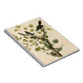 Carnet Cadeau vintage Audubon Loggerhead Shrike Painting (Côté Droit)