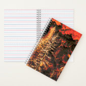 Carnet Cadeaux de feux de forêt pour pompiers (À l'intérieur)