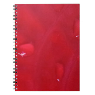 Carnet Caderno Espiral com Foto
