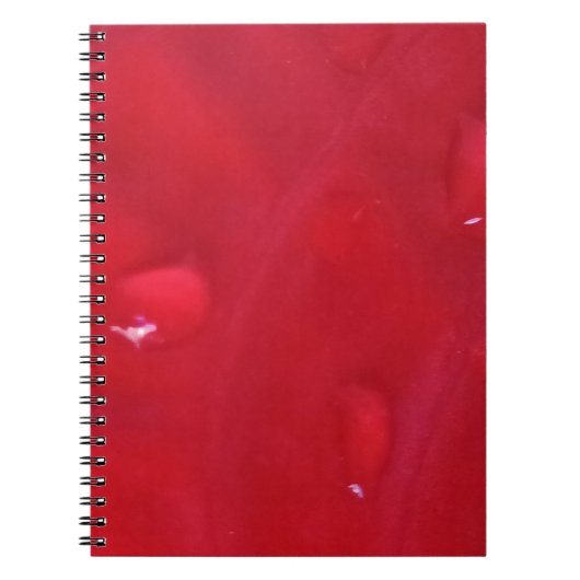 Carnet Caderno Espiral com Foto (Devant)