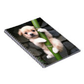 Carnet Caderno Espiral Gaejook 개 죽 이 (Côté Droit)